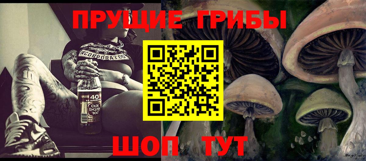 Галлюциногенные грибы прущие грибы  Вход с VPN  Липецк 