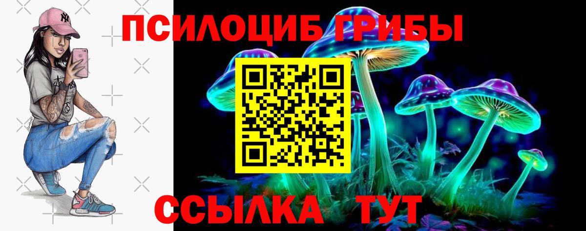 Псилоцибиновые грибы мухоморы Липецк